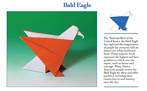 Origami Animals Book: Easy DIY Projects