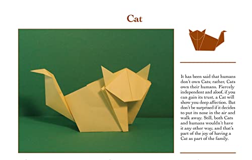Origami Animals Book: Easy DIY Projects