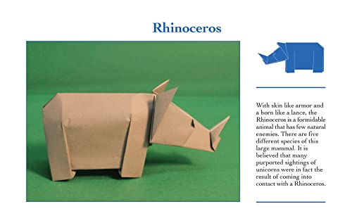 Origami Animals Book: Easy DIY Projects