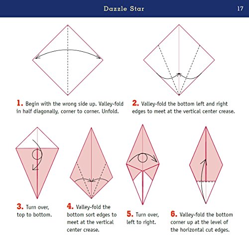 Origami Kit with Book, Papers, Videos: Fun for All!