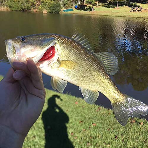 Drasry Fishing Hooks: Sharp, Carbon Steel Jig Bait