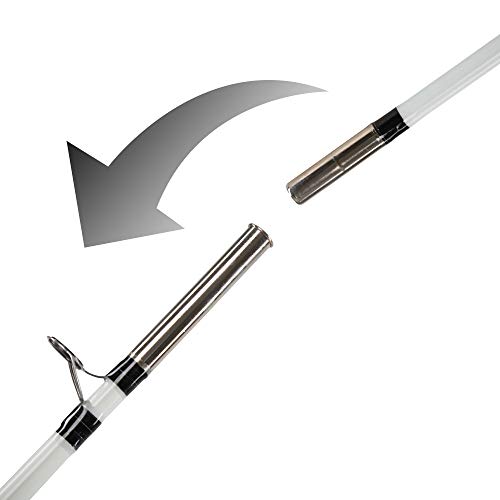 Berkley 8ft Surf Rod, 12-30lb Line, Medium Heavy