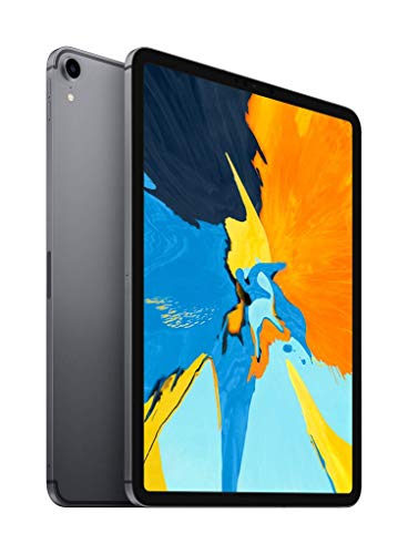 Apple iPad Pro (11-inch, Wi-Fi + Cellular, 256GB) - Space Gray (Latest Model)