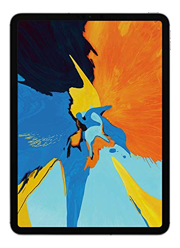 Apple iPad Pro (11-inch, Wi-Fi + Cellular, 256GB) - Space Gray (Latest Model)