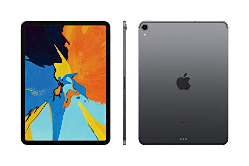 Apple iPad Pro (11-inch, Wi-Fi + Cellular, 256GB) - Space Gray (Latest Model)