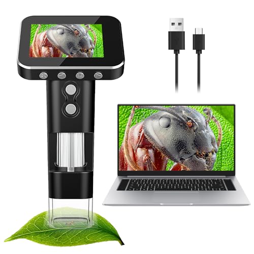 Portable 1000X Microscope with Adjustable Brightness for Kids