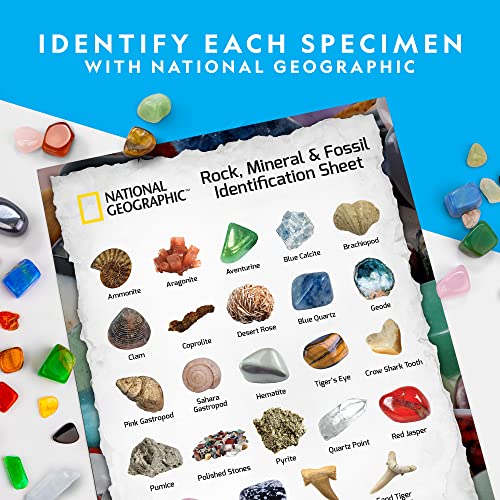 National Geographic Rocks & Fossils Kit - 200+ Pieces
