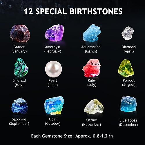 Earth Science Kits for Kids, STEM Geology Toy