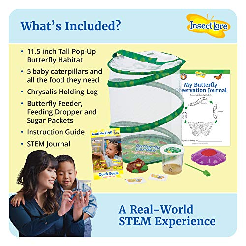 Butterfly Garden Kit with Live Caterpillars & STEM Journal