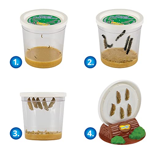 Butterfly Garden Kit with Live Caterpillars & STEM Journal