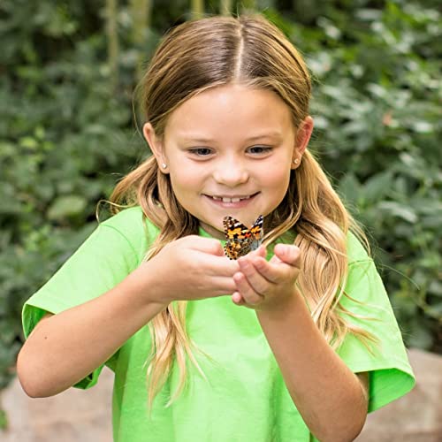 Butterfly Garden Kit with Live Caterpillars & STEM Journal