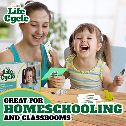 Montessori Life Cycle Kit Toy - Educational Set