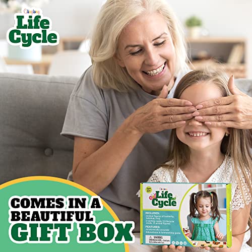 Montessori Life Cycle Kit Toy - Educational Set