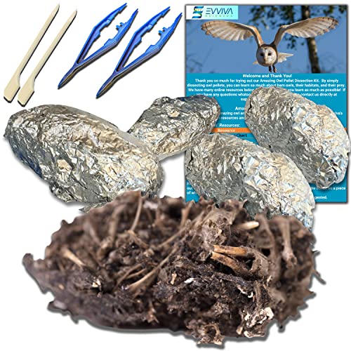 Owl Pellet Dissection Kit for Science Lab Projects