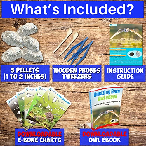 Owl Pellet Dissection Kit for Science Lab Projects