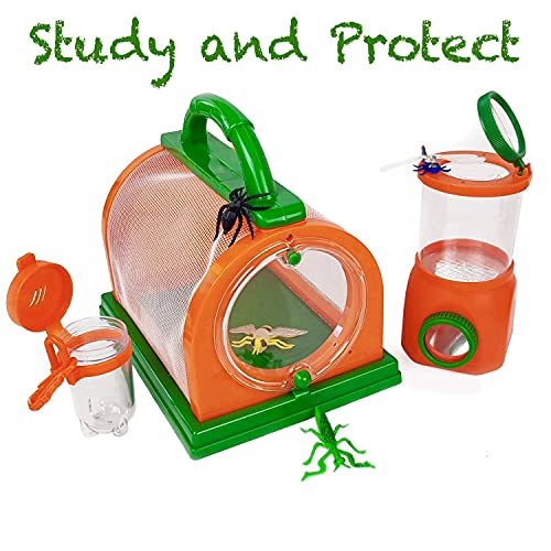 Outdoor Insect Exploration Kit for Kids