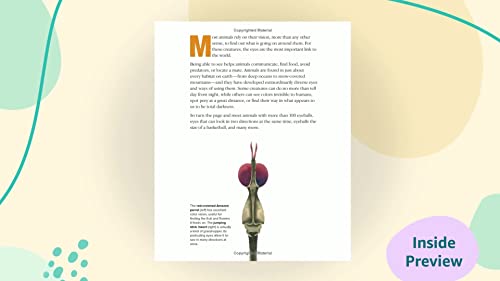 Eye to Eye: How Animals See The World by Steve Jenkins