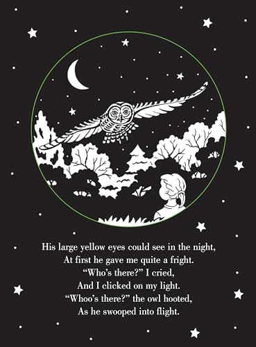 Whoo's There? Bedtime Shadow Book by Peter Pauper Press