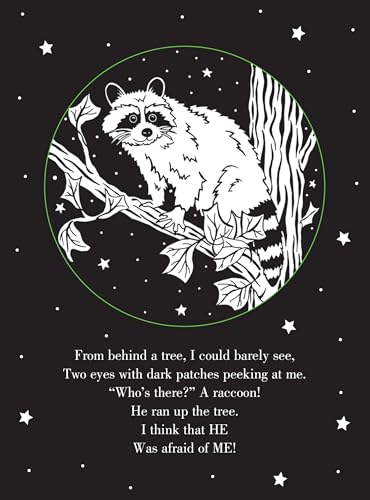 Whoo's There? Bedtime Shadow Book by Peter Pauper Press