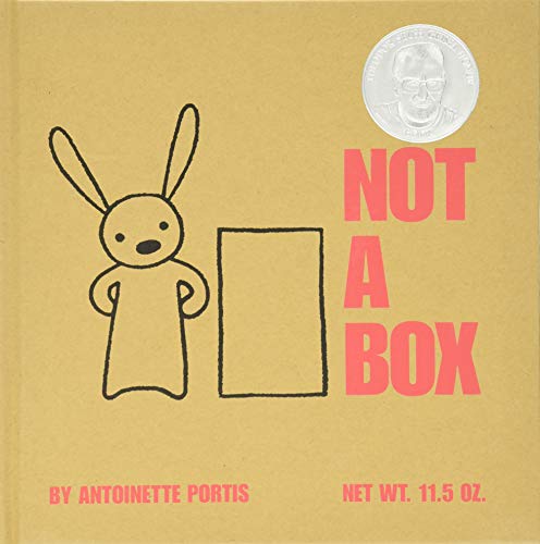 Not a Box by Antoinette Portis