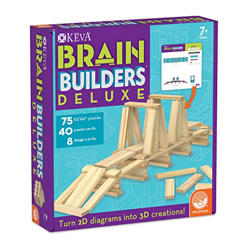 Deluxe KEVA Brain Builders for Homeschool