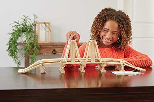 Deluxe KEVA Brain Builders for Homeschool