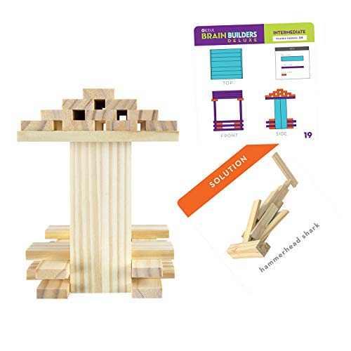Deluxe KEVA Brain Builders for Homeschool