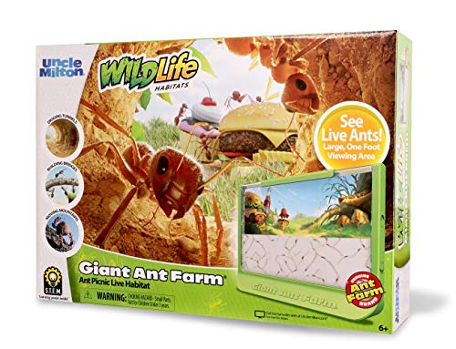 Uncle Milton Giant Ant Farm - Nature Learning Toy