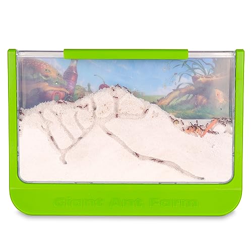 Uncle Milton Giant Ant Farm - Nature Learning Toy