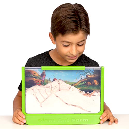Uncle Milton Giant Ant Farm - Nature Learning Toy