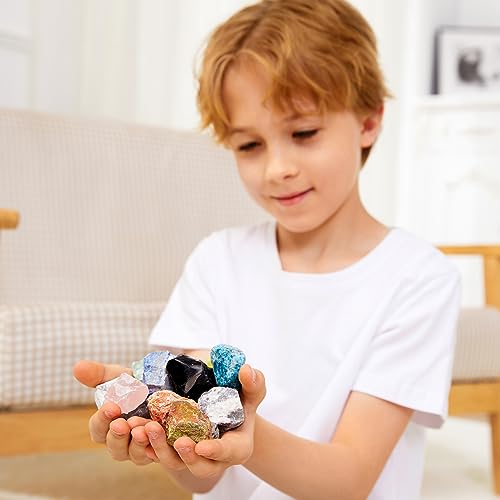 Kid's Rock & Gemstone Collection Kit with Learning Guide