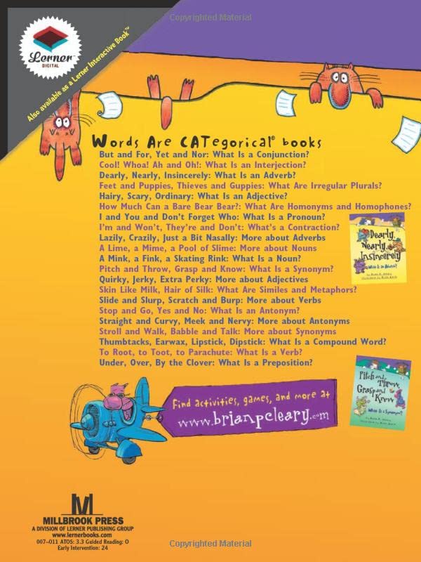 A Mink, a Fink, a Skating Rink: What Is a Noun? by Brian Cleary (Words Are CATegorical ®)