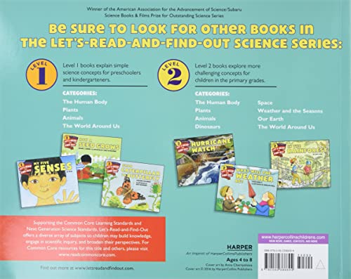 Sounds All Around by Wendy Pfeffer and Anna Chernyshova (Let's-Read-and-Find-Out Science 1)