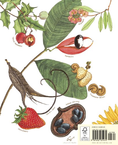 A Seed Is Sleepy by Dianna Aston & Sylvia Long (Environmental Science for Kids)