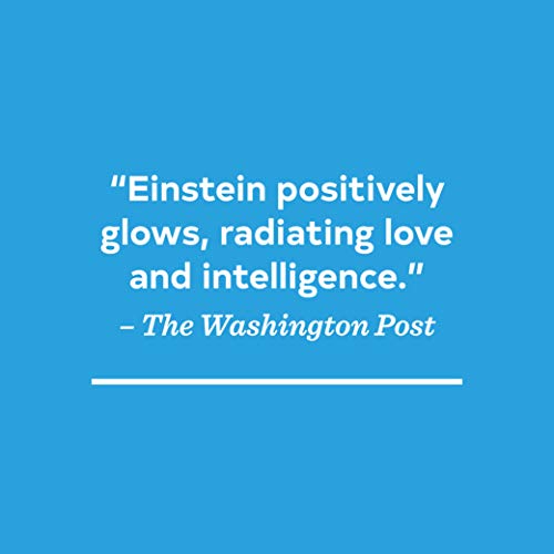 On a Beam of Light: A Story of Albert Einstein by Jennifer Berne and Vladimir Radunsky