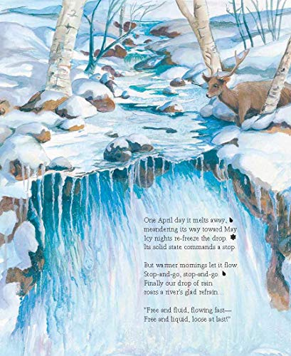 A Drop Around the World: The Science Of Water Cycles On Planet Earth For Kids by Barbara Shaw McKinney & Michael S. Maydak