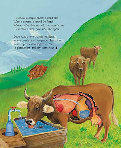 A Drop Around the World: The Science Of Water Cycles On Planet Earth For Kids by Barbara Shaw McKinney & Michael S. Maydak