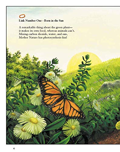Pass the Energy, Please!: Learn the Basics of the Food Chain and the Transfer of Energy with an Upbeat Rhyming Story by Barbara Shaw McKinney & Chad Wallace