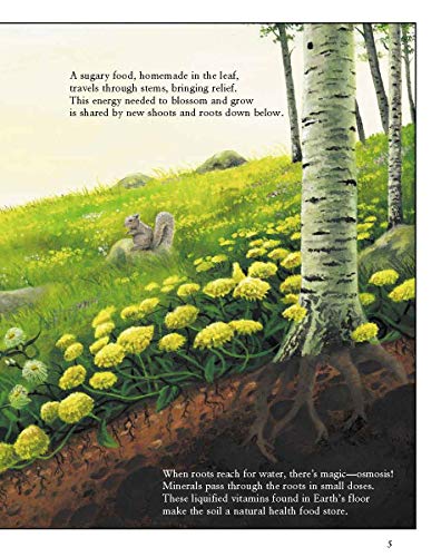 Pass the Energy, Please!: Learn the Basics of the Food Chain and the Transfer of Energy with an Upbeat Rhyming Story by Barbara Shaw McKinney & Chad Wallace