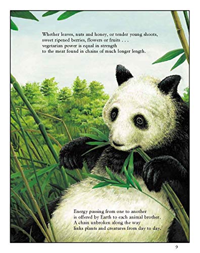 Pass the Energy, Please!: Learn the Basics of the Food Chain and the Transfer of Energy with an Upbeat Rhyming Story by Barbara Shaw McKinney & Chad Wallace