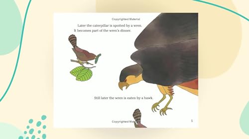 Who Eats What?: Food Chains and Food Webs by Patricia Lauber & Holly Keller