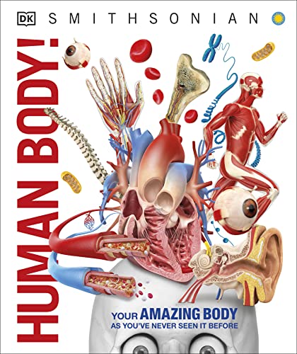 Knowledge Encyclopedia Human Body! by DK and Smithsonian Institution (DK Knowledge Encyclopedias)
