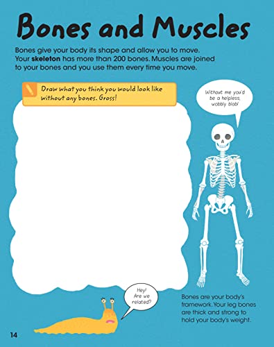 The Human Body: Anatomy Facts and Activity Book for Kids Ages 5-9 by Gold Stars