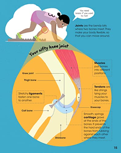 The Human Body: Anatomy Facts and Activity Book for Kids Ages 5-9 by Gold Stars