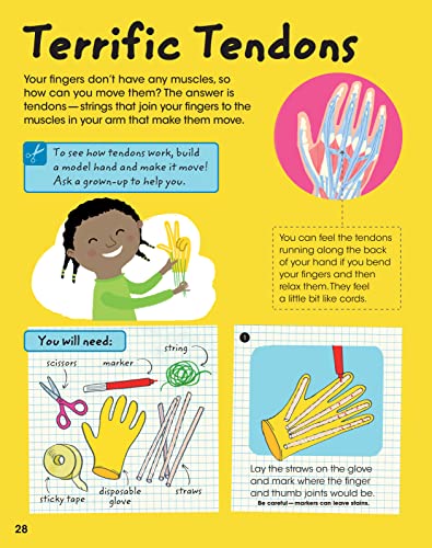 The Human Body: Anatomy Facts and Activity Book for Kids Ages 5-9 by Gold Stars