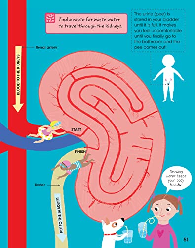 The Human Body: Anatomy Facts and Activity Book for Kids Ages 5-9 by Gold Stars