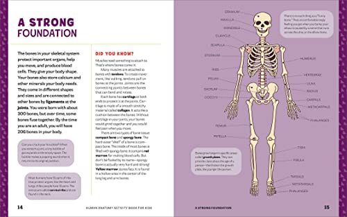 Human Anatomy Activity Book for Kids: Hands-on Learning for Grades 4-6 by Shannan Muskopf M.S.