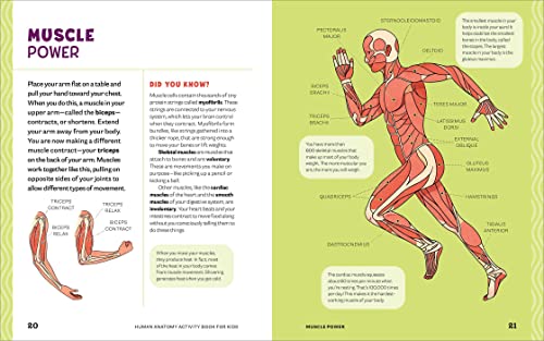 Human Anatomy Activity Book for Kids: Hands-on Learning for Grades 4-6 by Shannan Muskopf M.S.