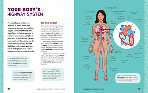 Human Anatomy Activity Book for Kids: Hands-on Learning for Grades 4-6 by Shannan Muskopf M.S.