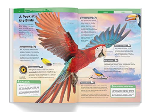 Knowledge Encyclopedia: Animals (Knowledge Encyclopedia For Children)